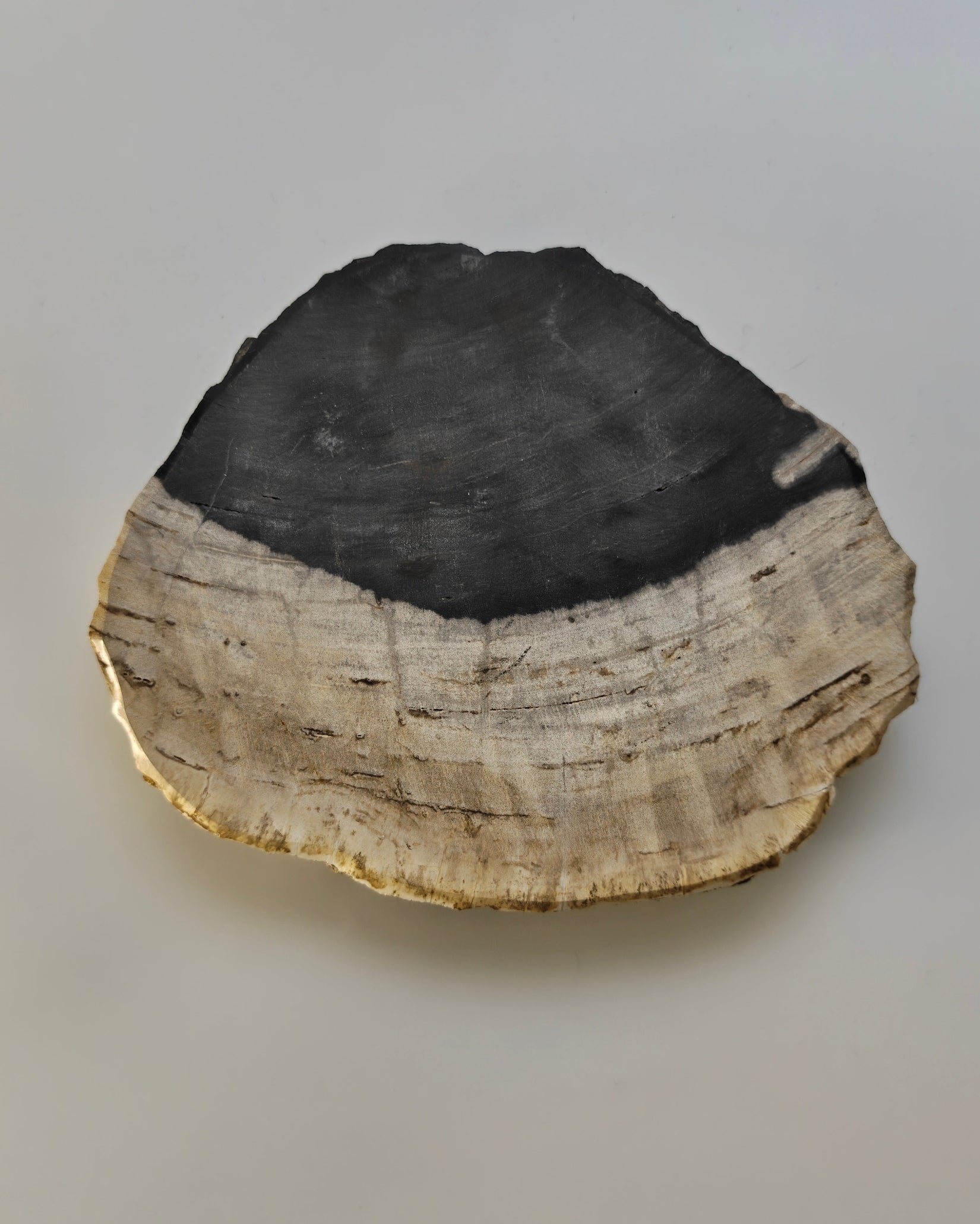Petrified Wood Tray 010