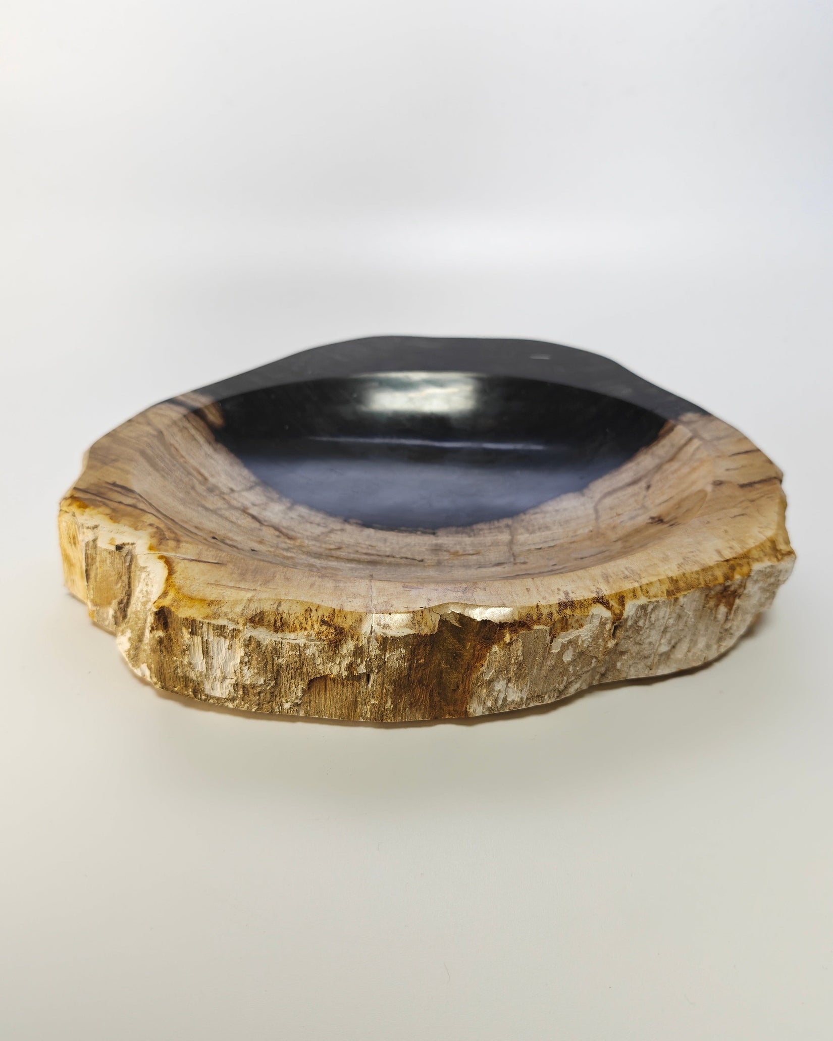 Petrified Wood Tray 010