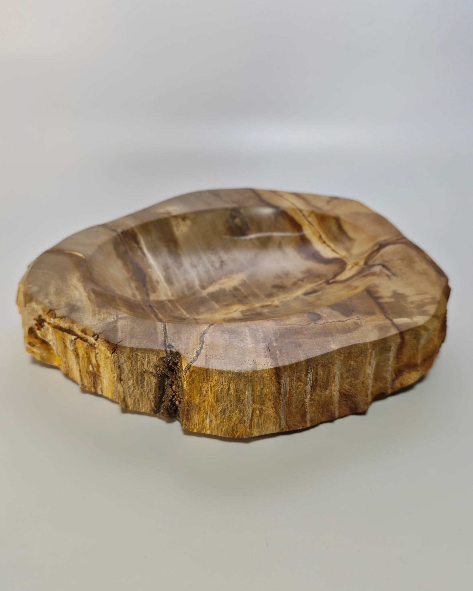 Petrified Wood Tray 011