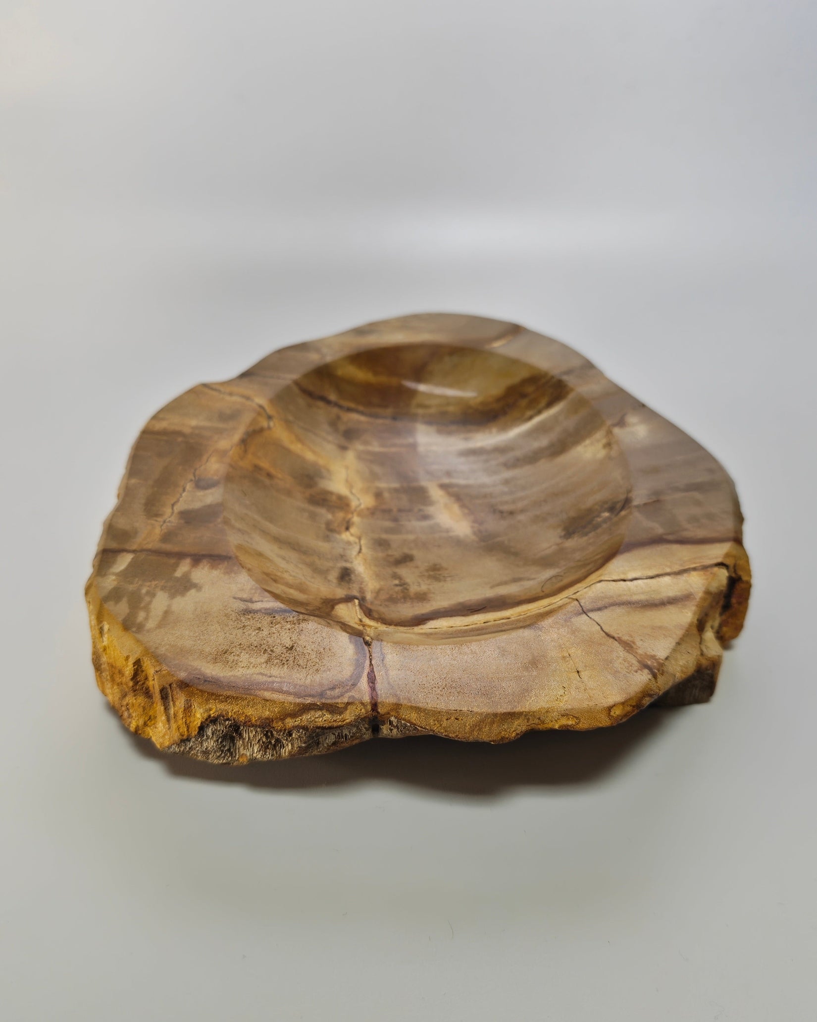 Petrified Wood Tray 011