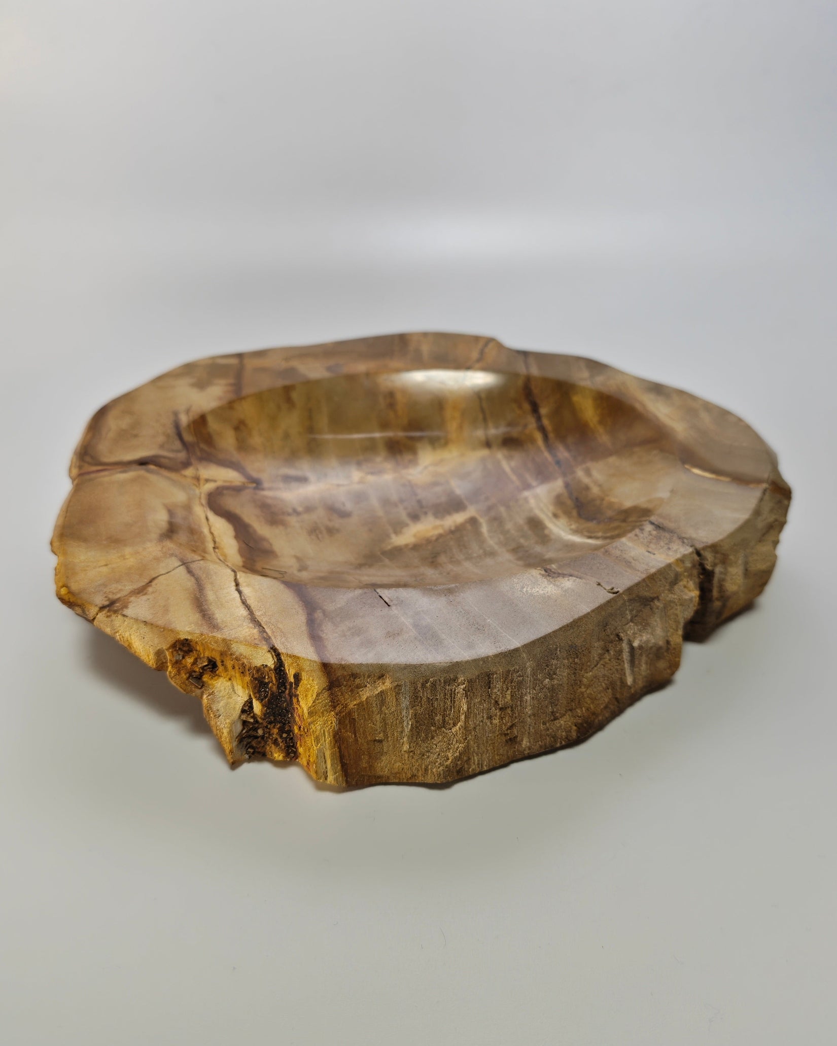 Petrified Wood Tray 011