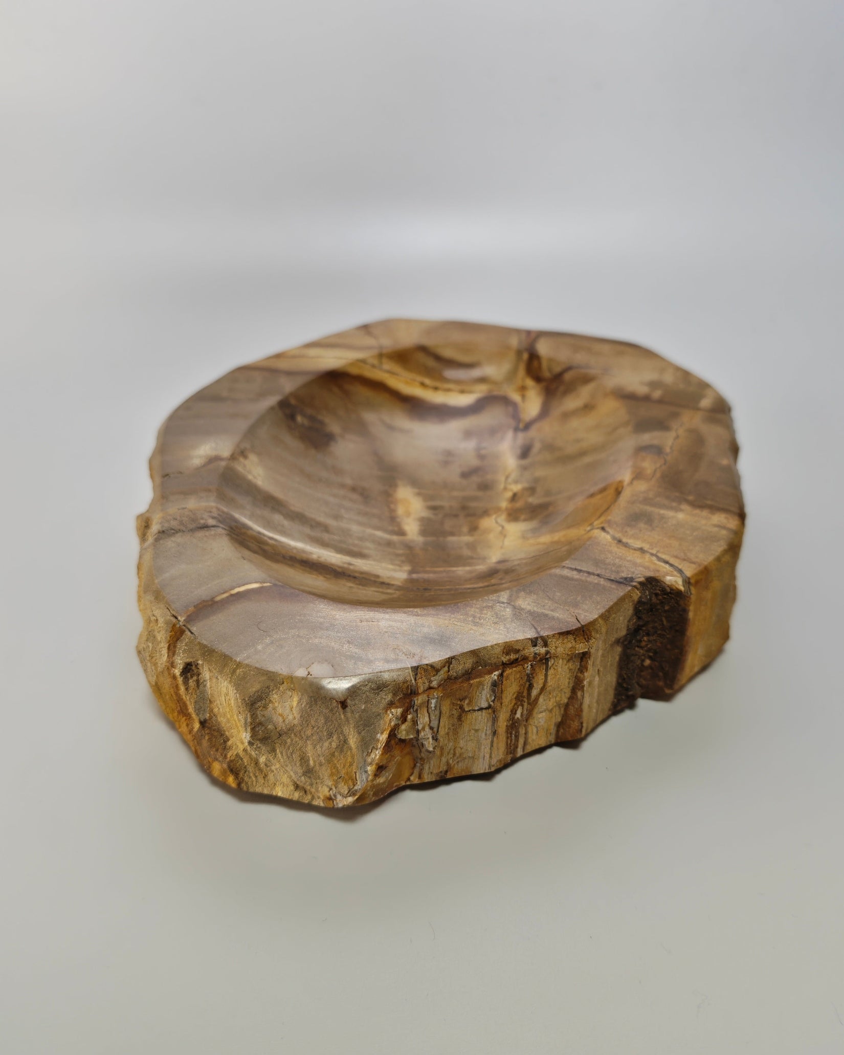 Petrified Wood Tray 011