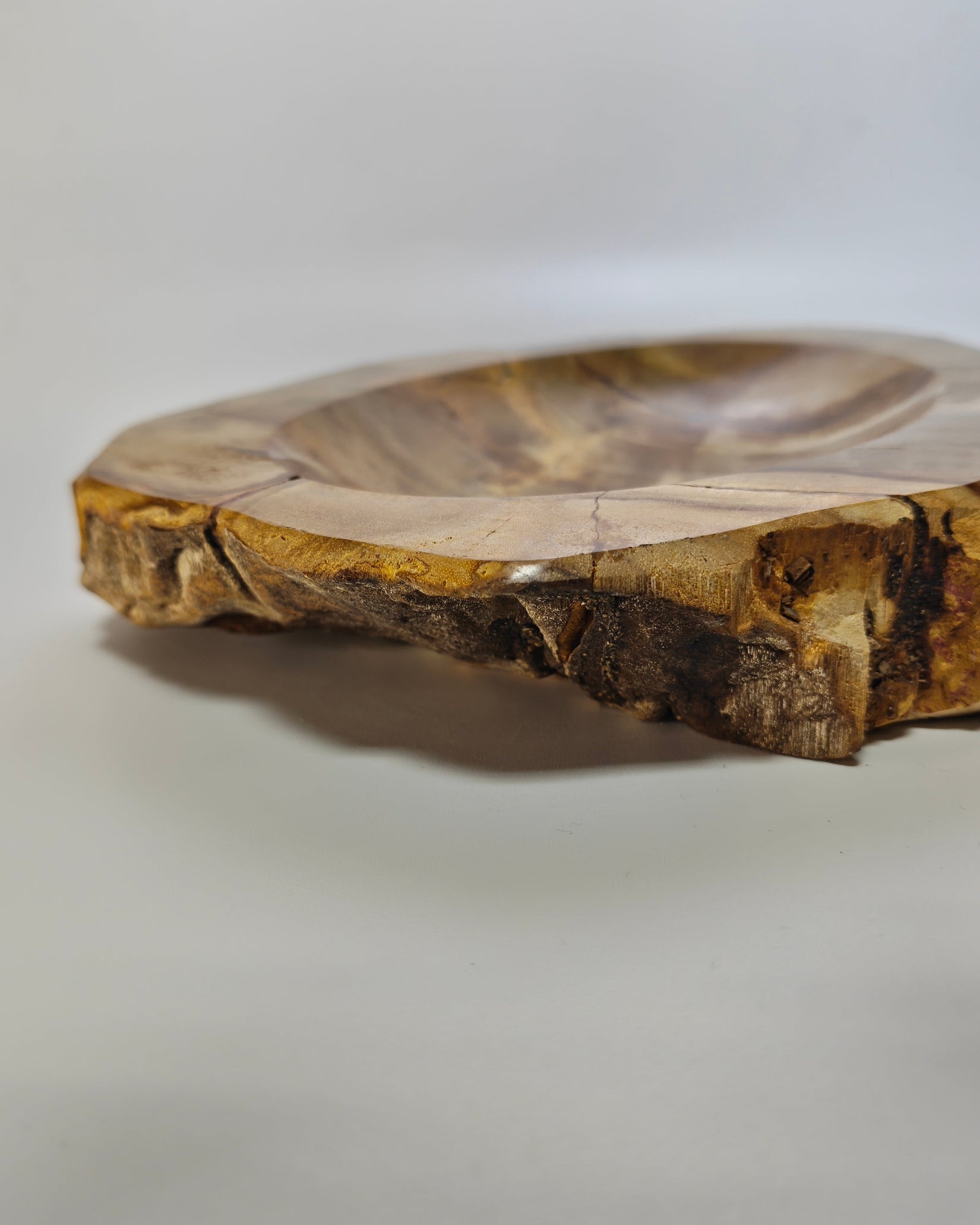 Petrified Wood Tray 011