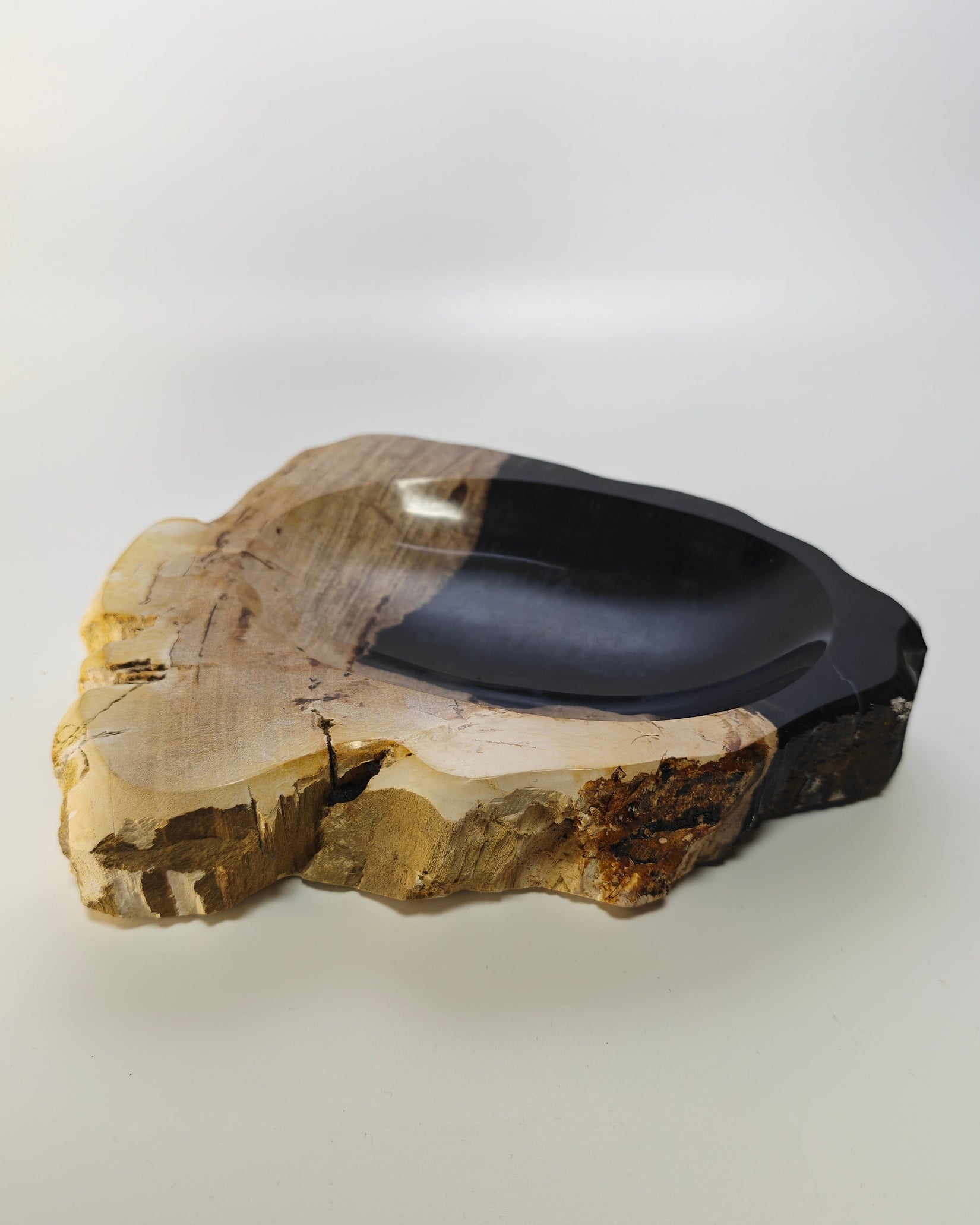 Petrified Wood Tray 012