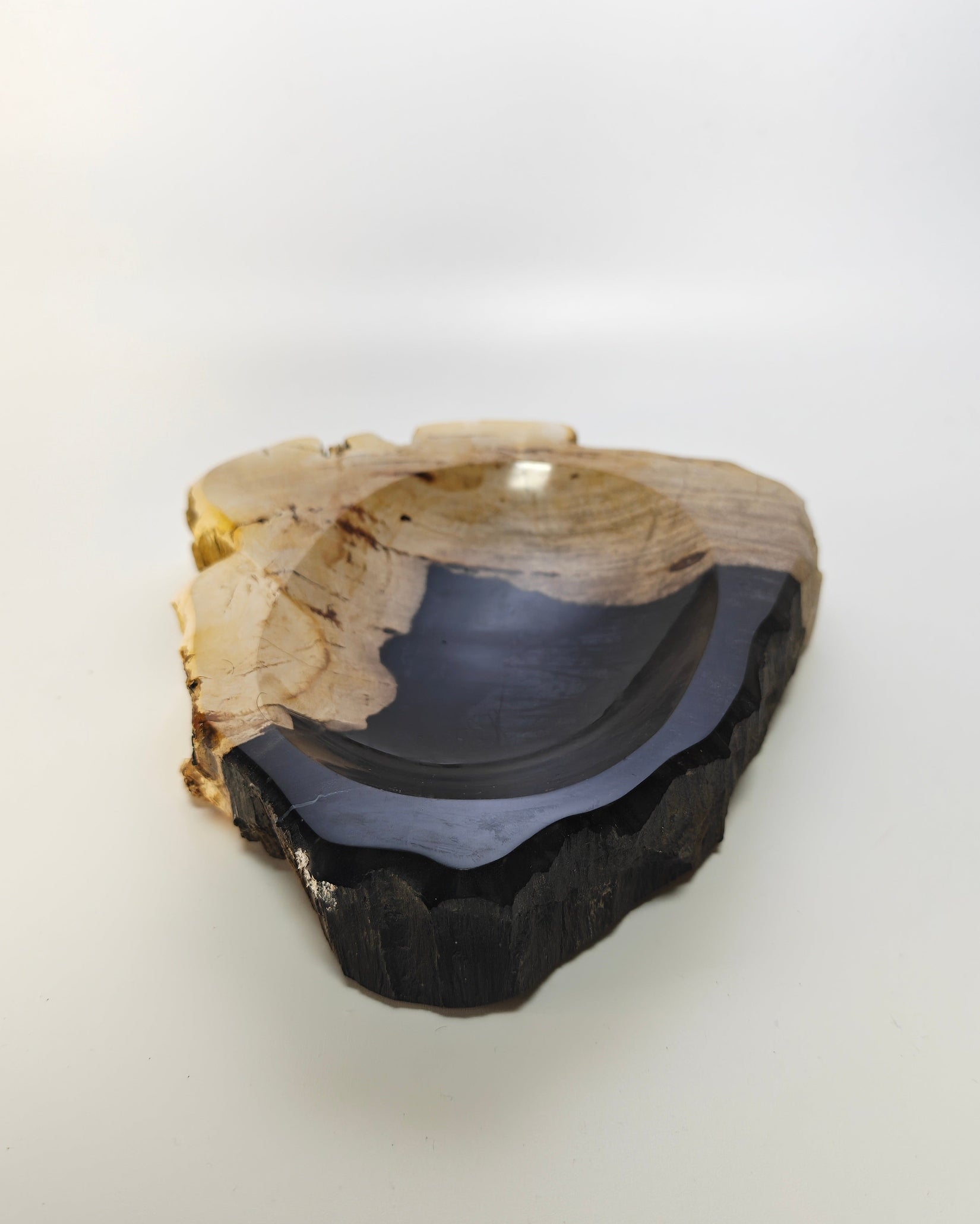 Petrified Wood Tray 012
