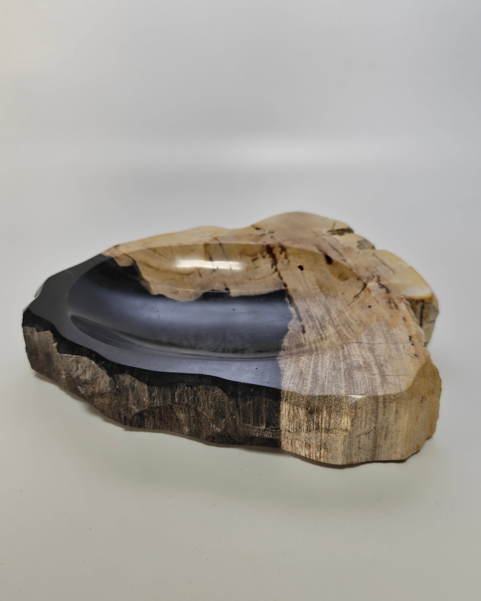 Petrified Wood Tray 012