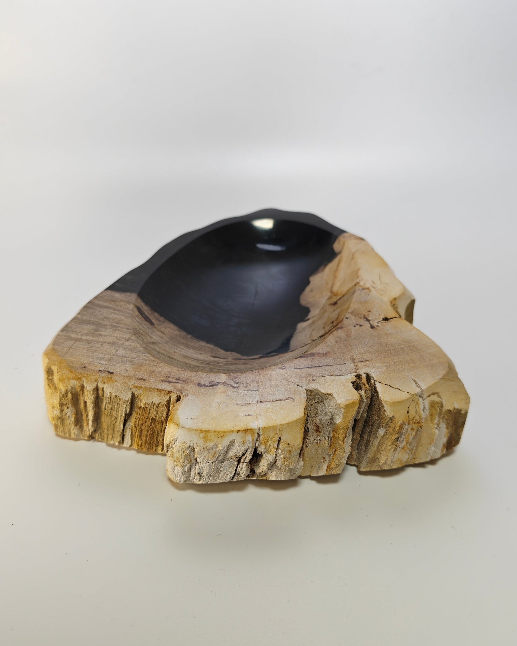 Petrified Wood Tray 012