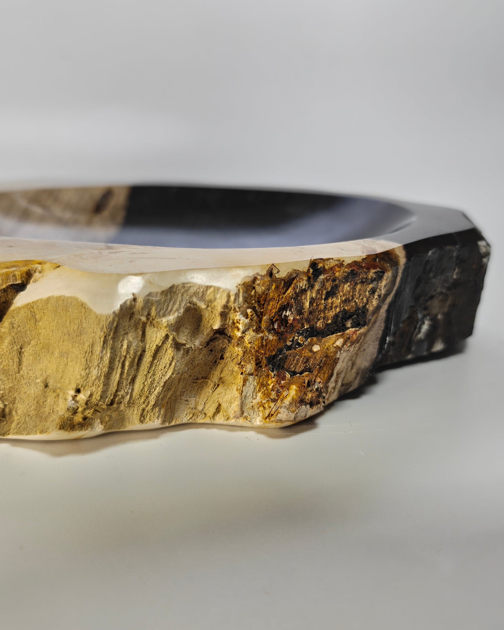 Petrified Wood Tray 012