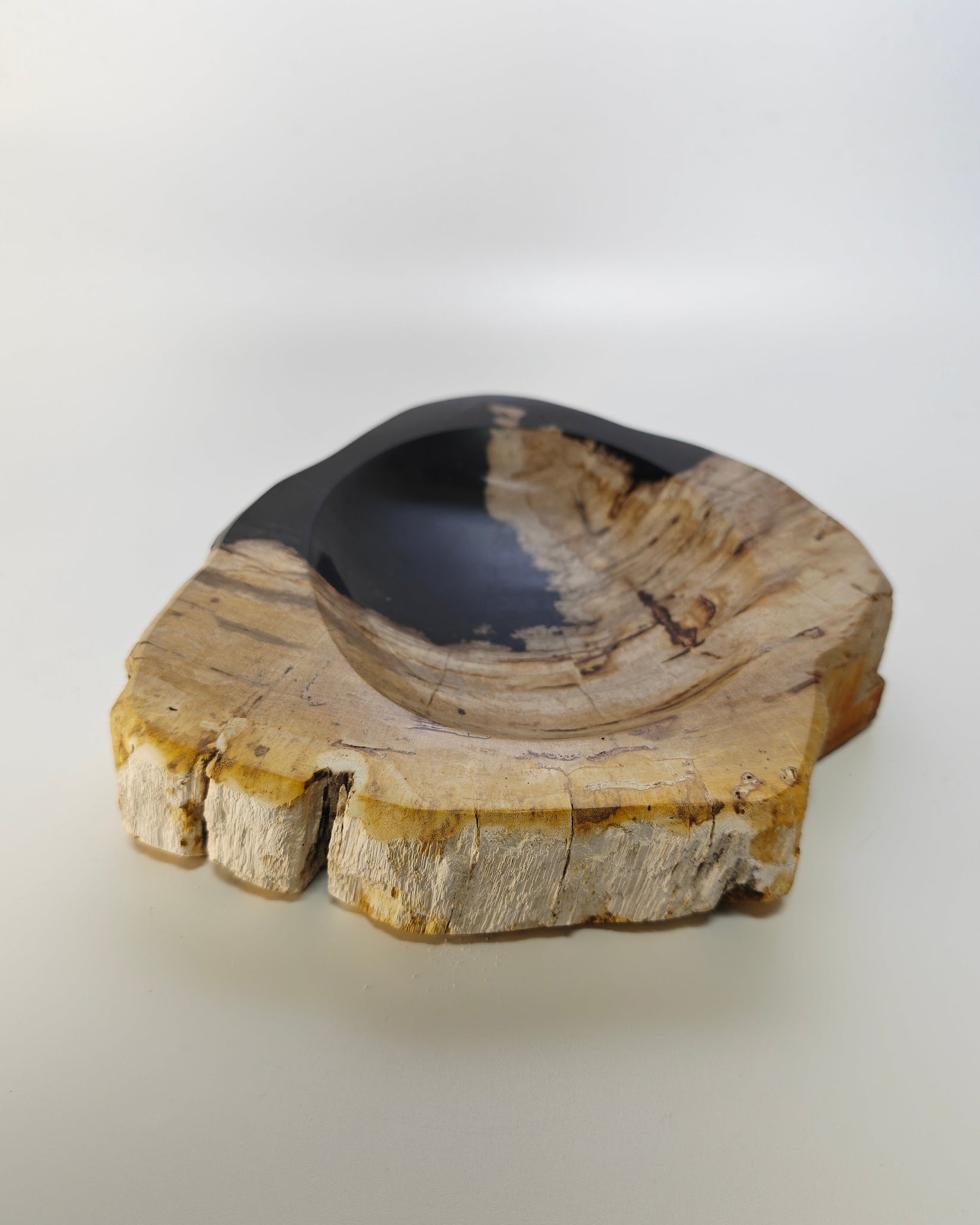 Petrified Wood Tray 013