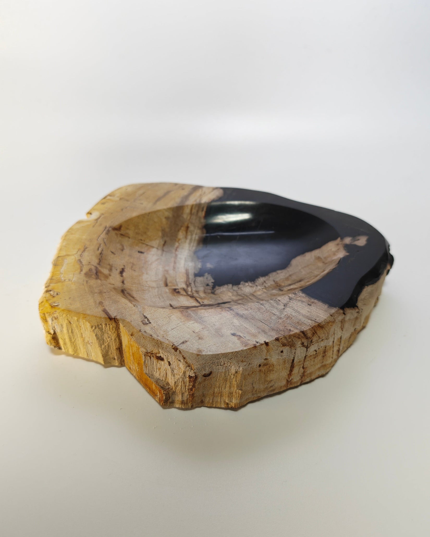 Petrified Wood Tray 013