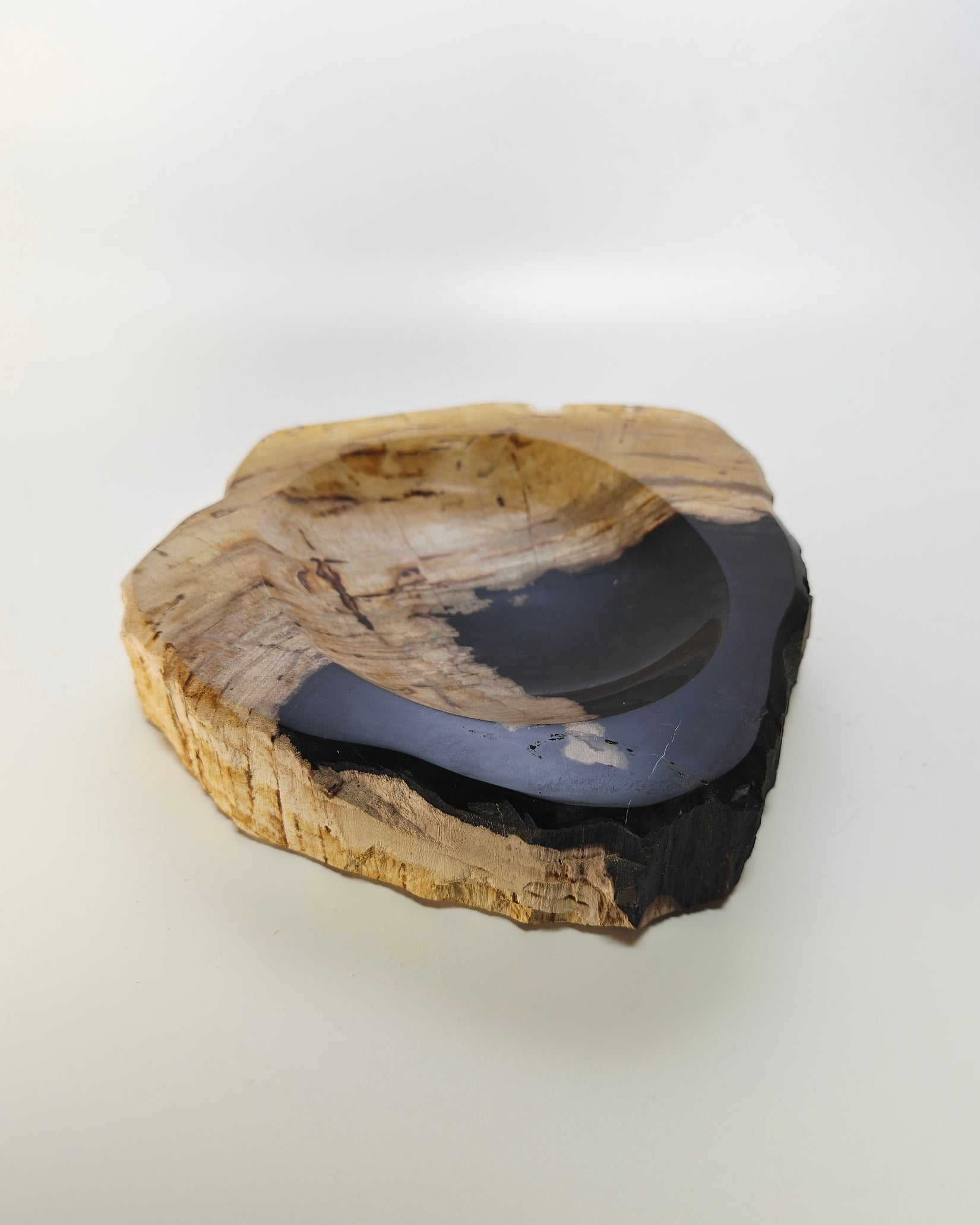 Petrified Wood Tray 013