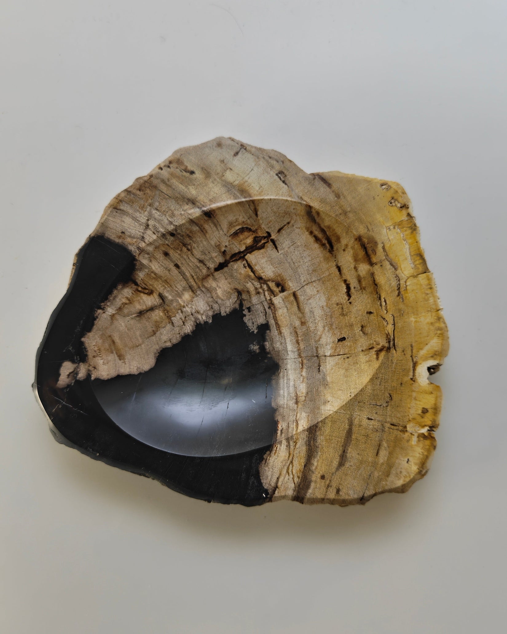 Petrified Wood Tray 013