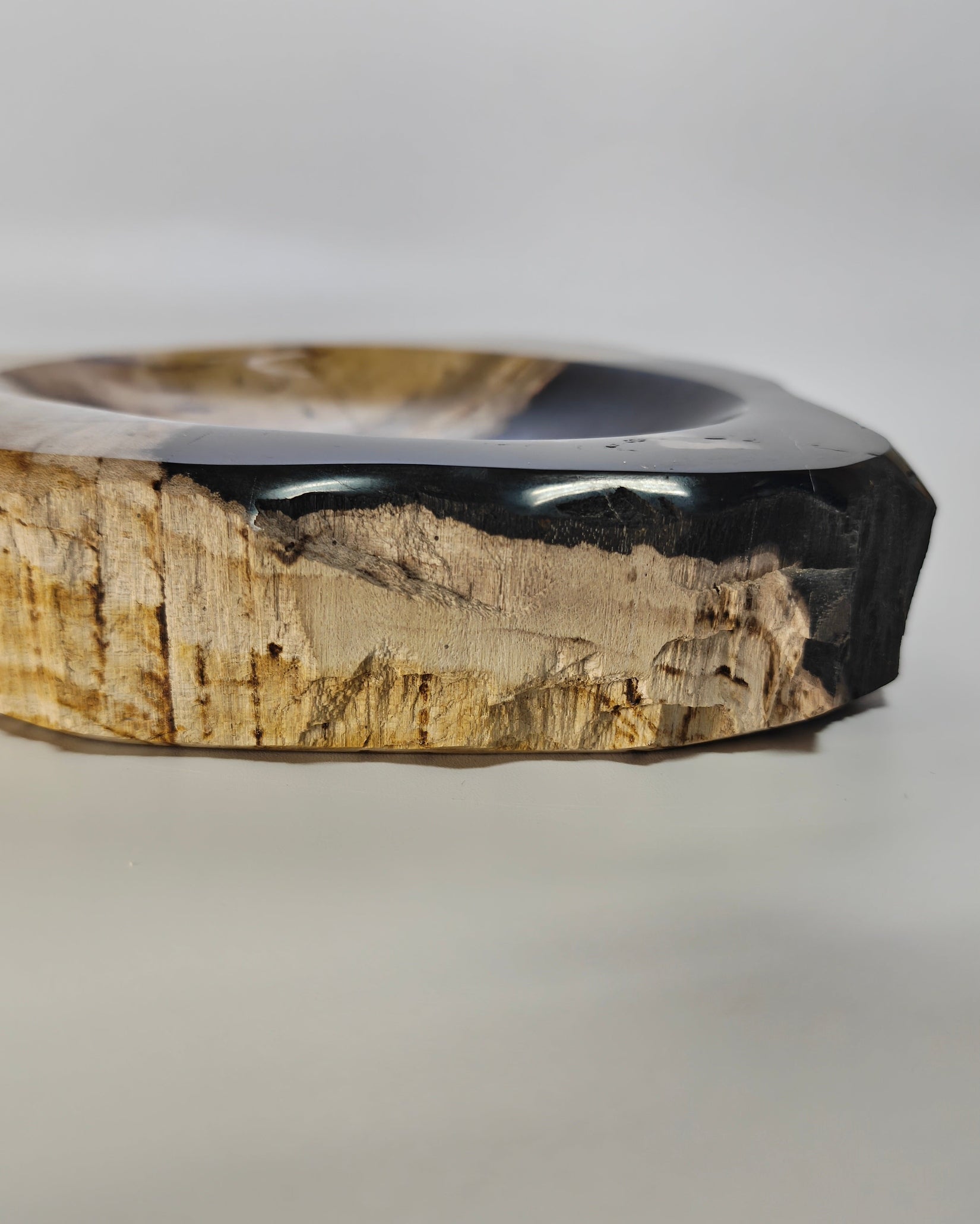 Petrified Wood Tray 013