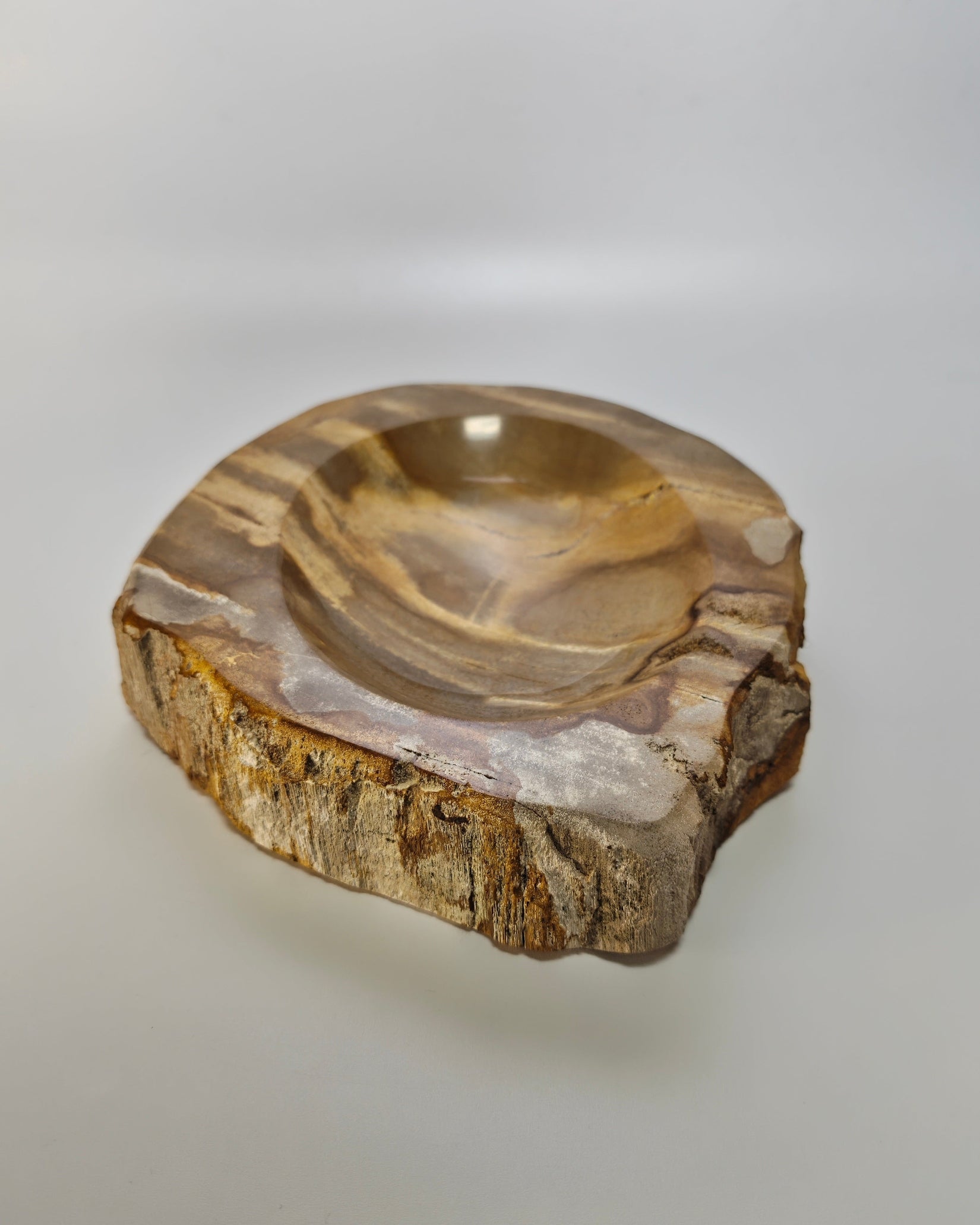 Petrified Wood Tray 014