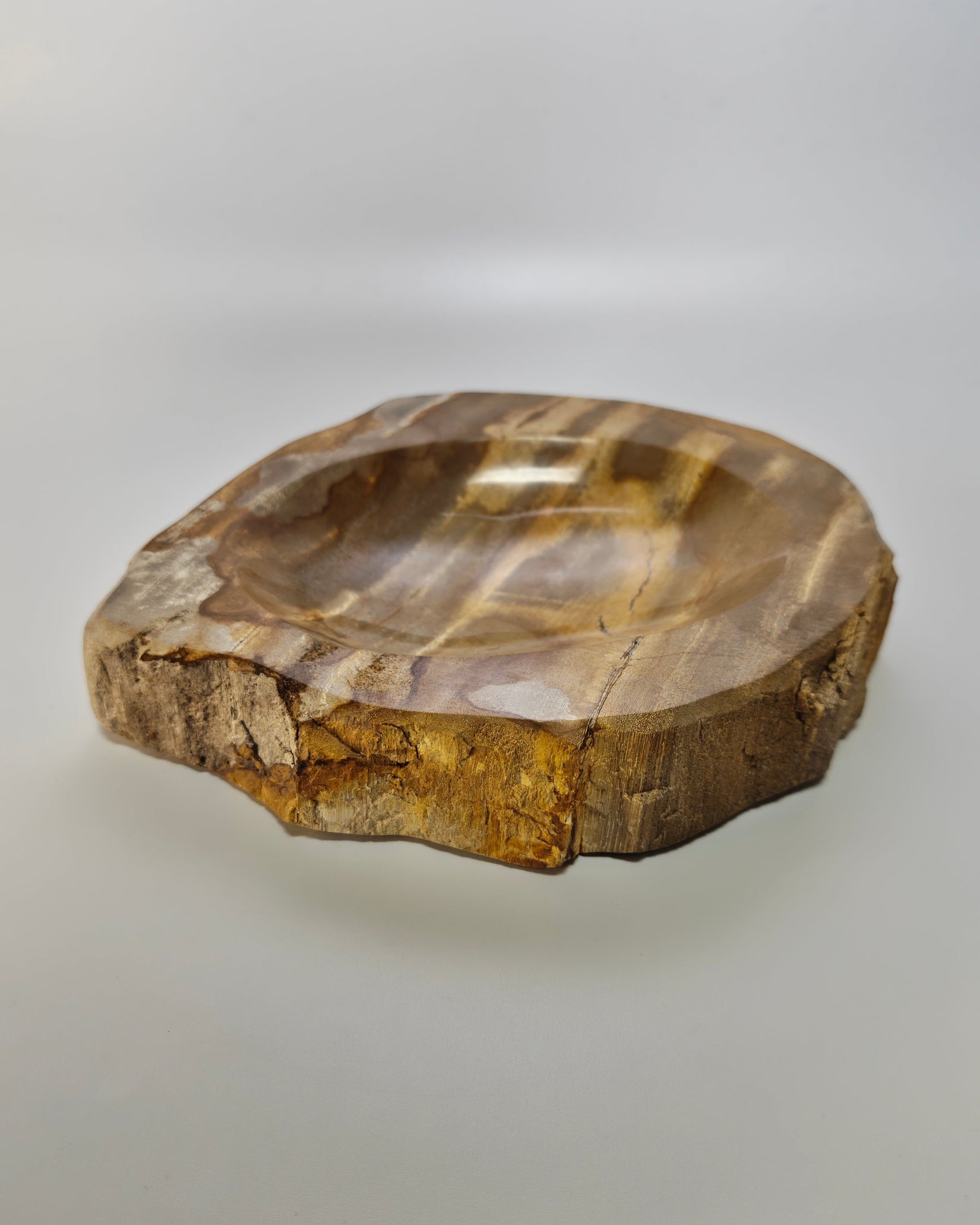 Petrified Wood Tray 014
