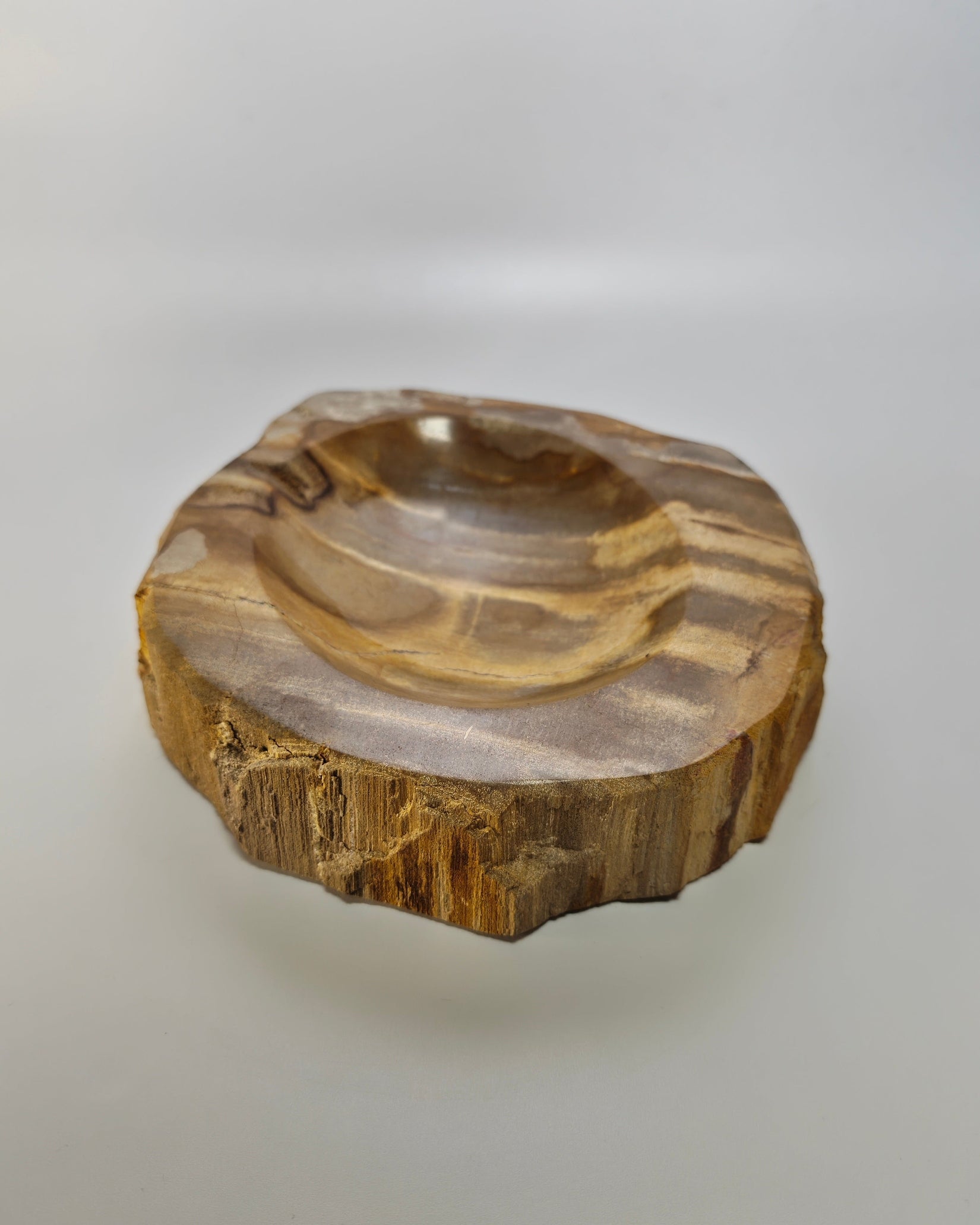 Petrified Wood Tray 014