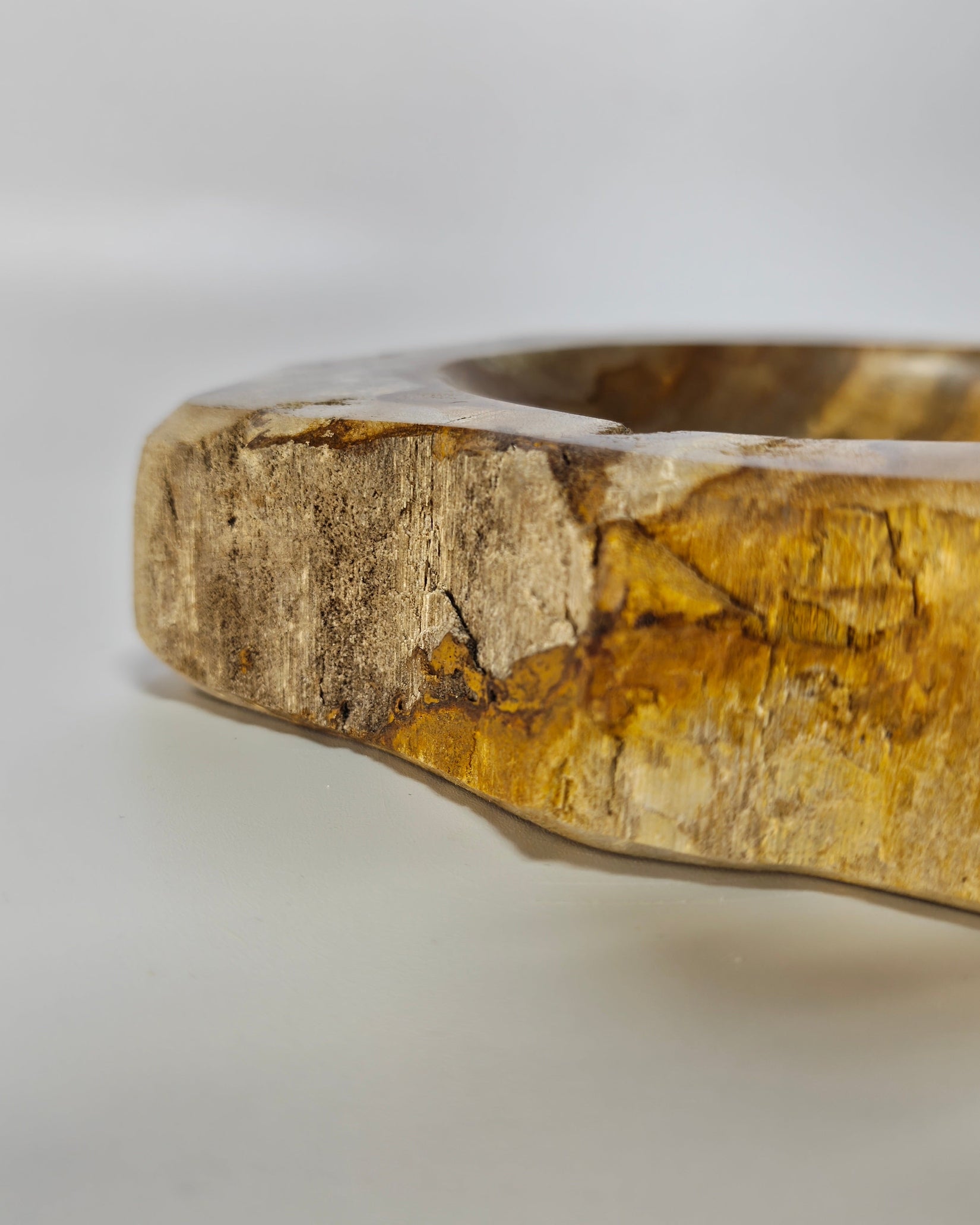 Petrified Wood Tray 014