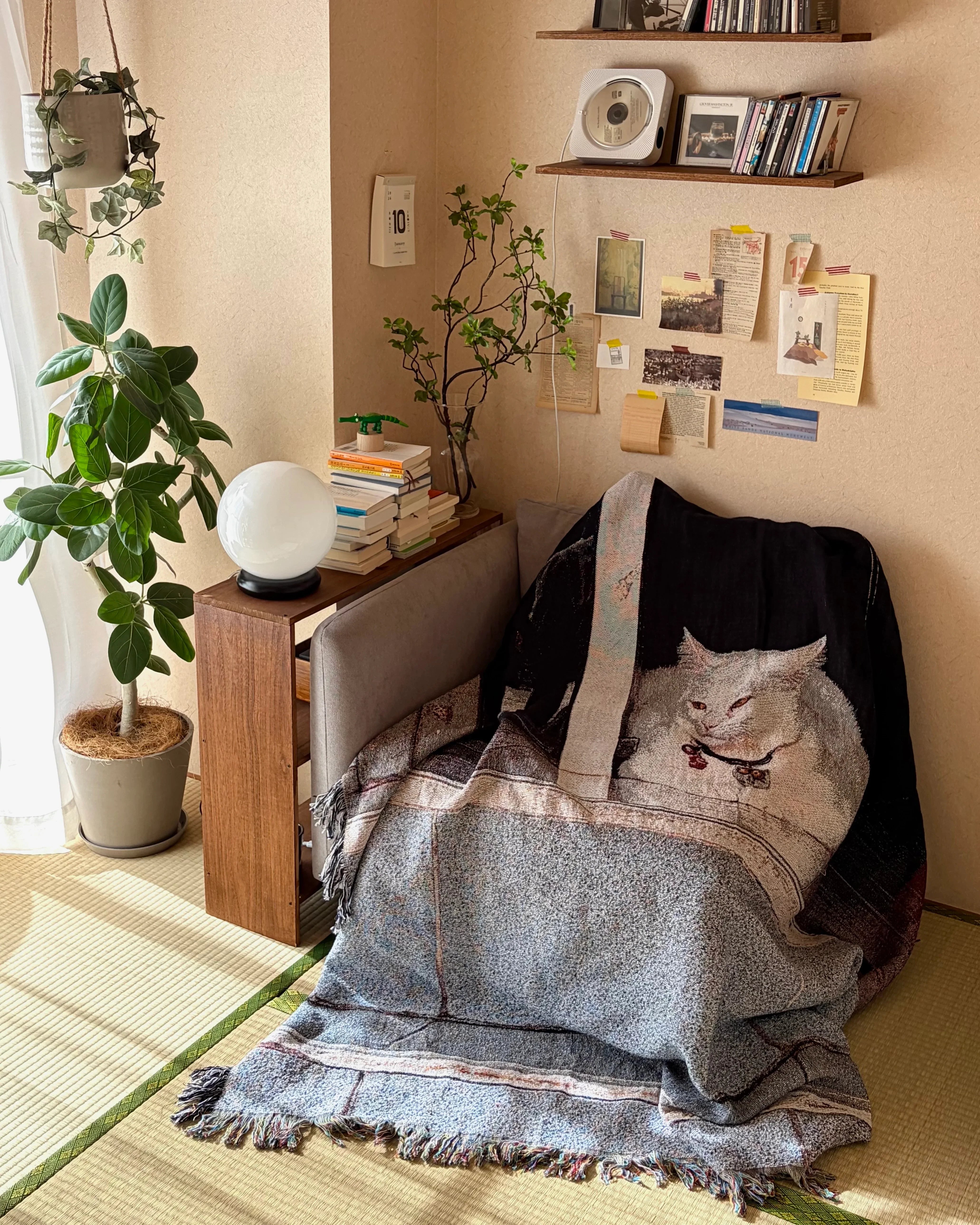 Cat Throw Blanket : M