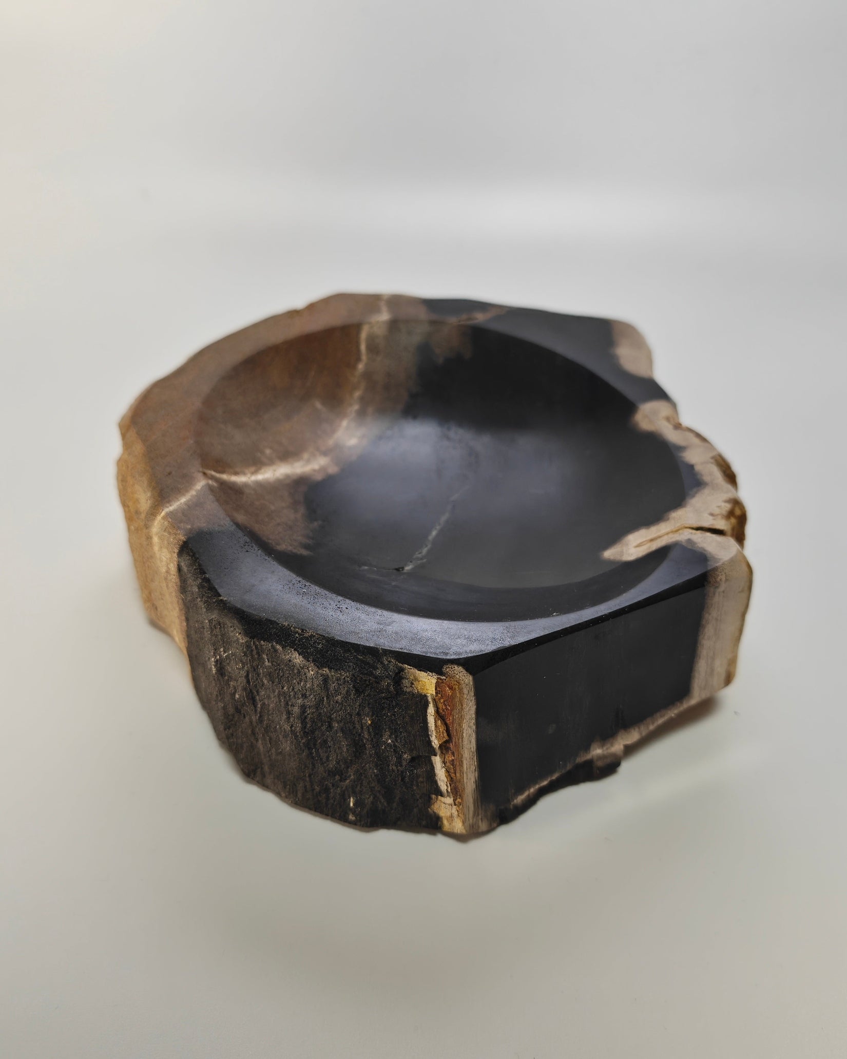Petrified Wood Tray 002