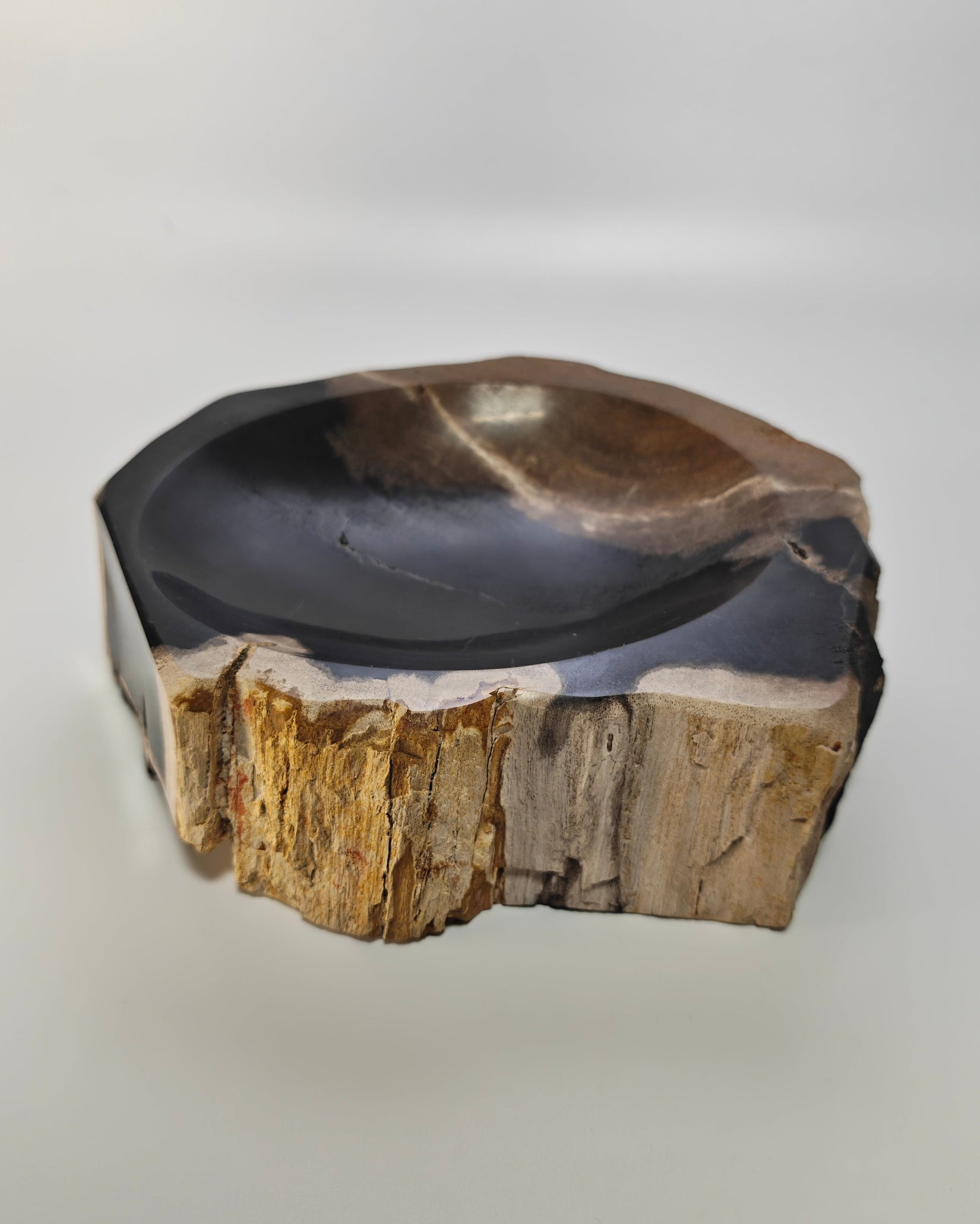 Petrified Wood Tray 002