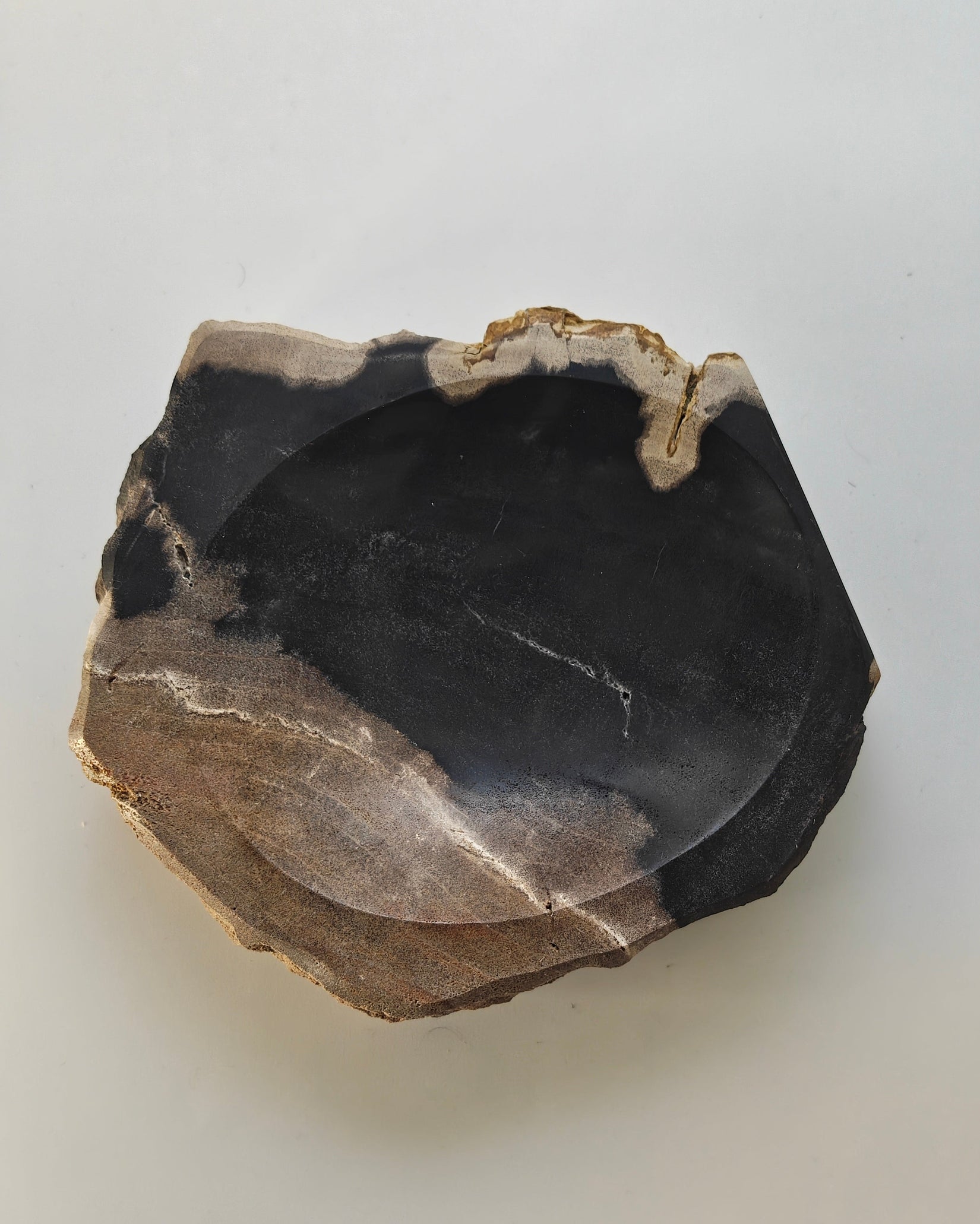 Petrified Wood Tray 002