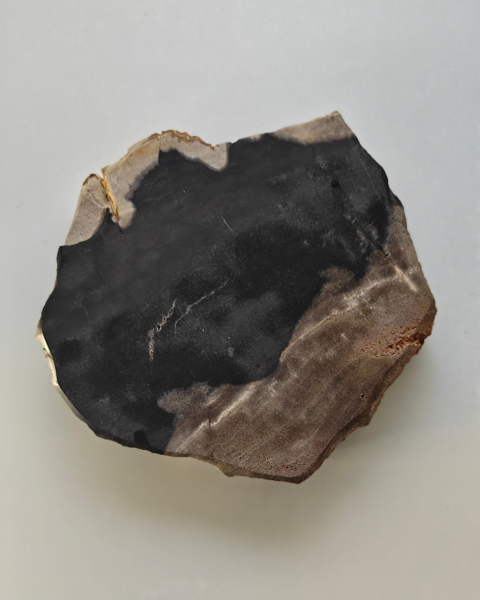 Petrified Wood Tray 002