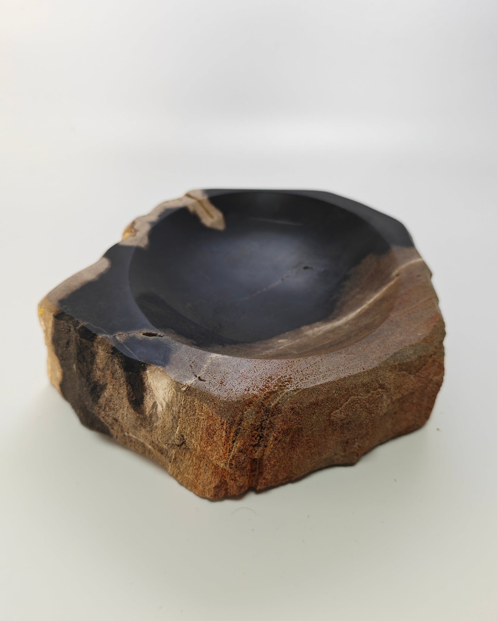 Petrified Wood Tray 002