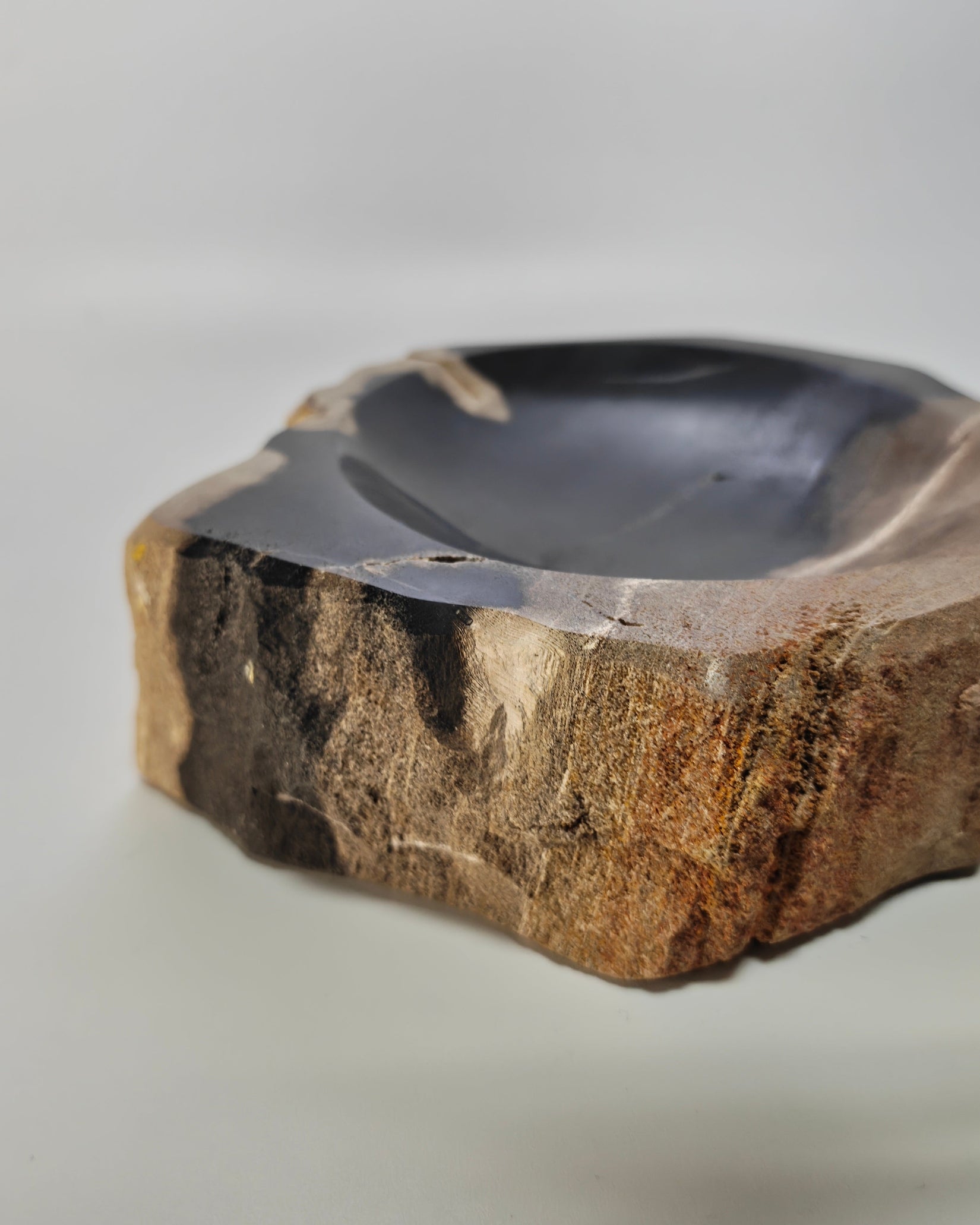 Petrified Wood Tray 002
