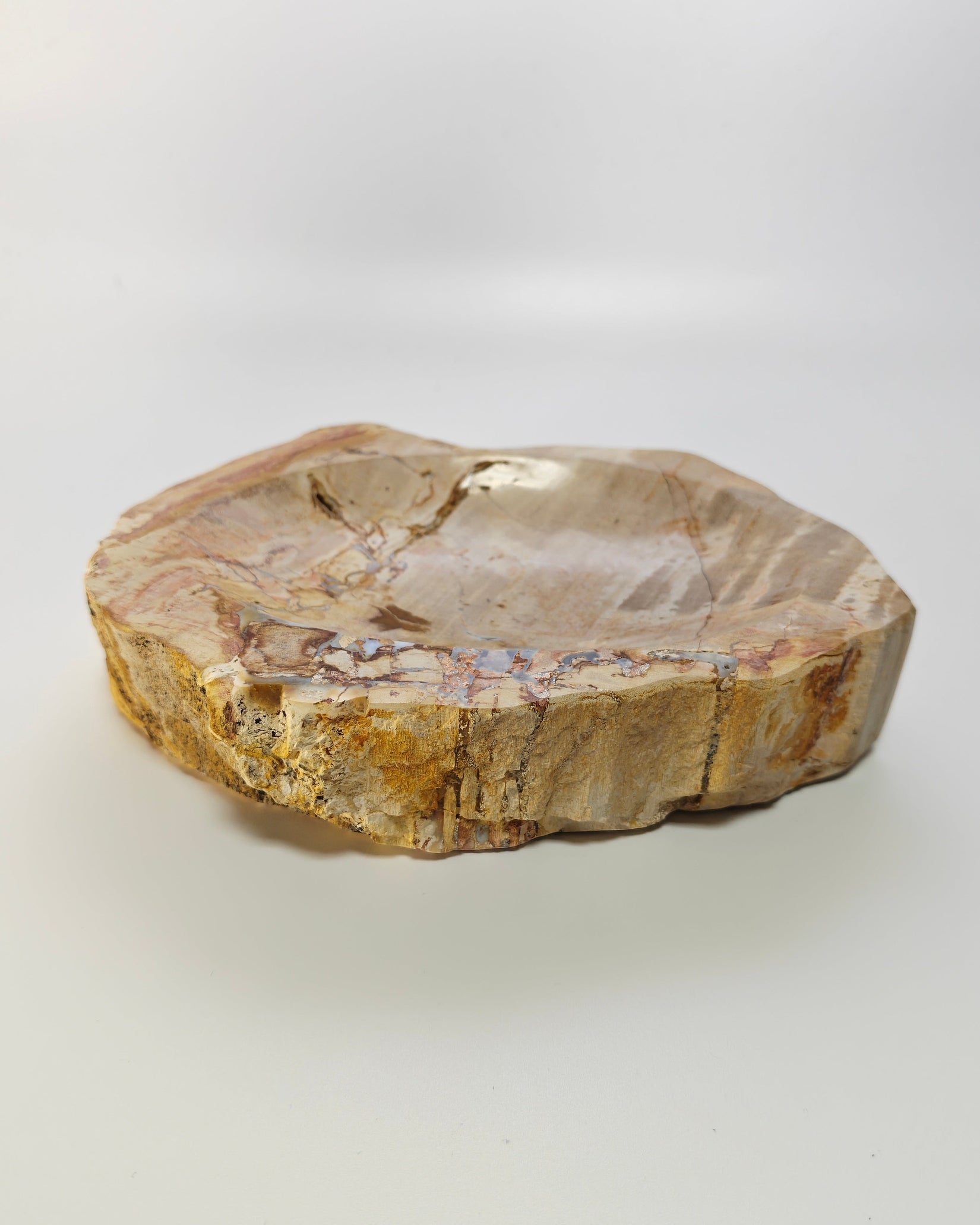 Petrified Wood Tray 005