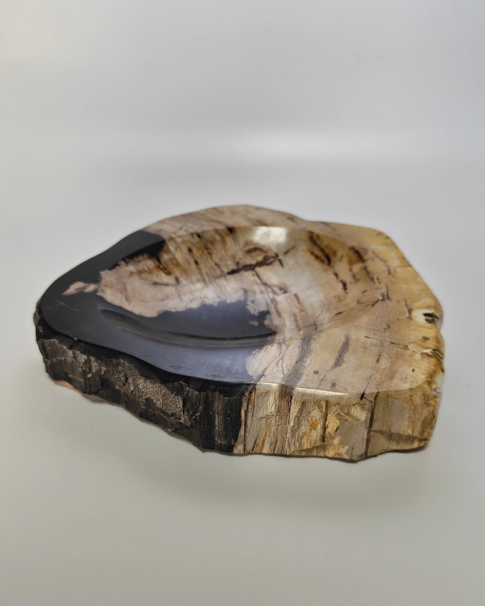 Petrified Wood Tray 013