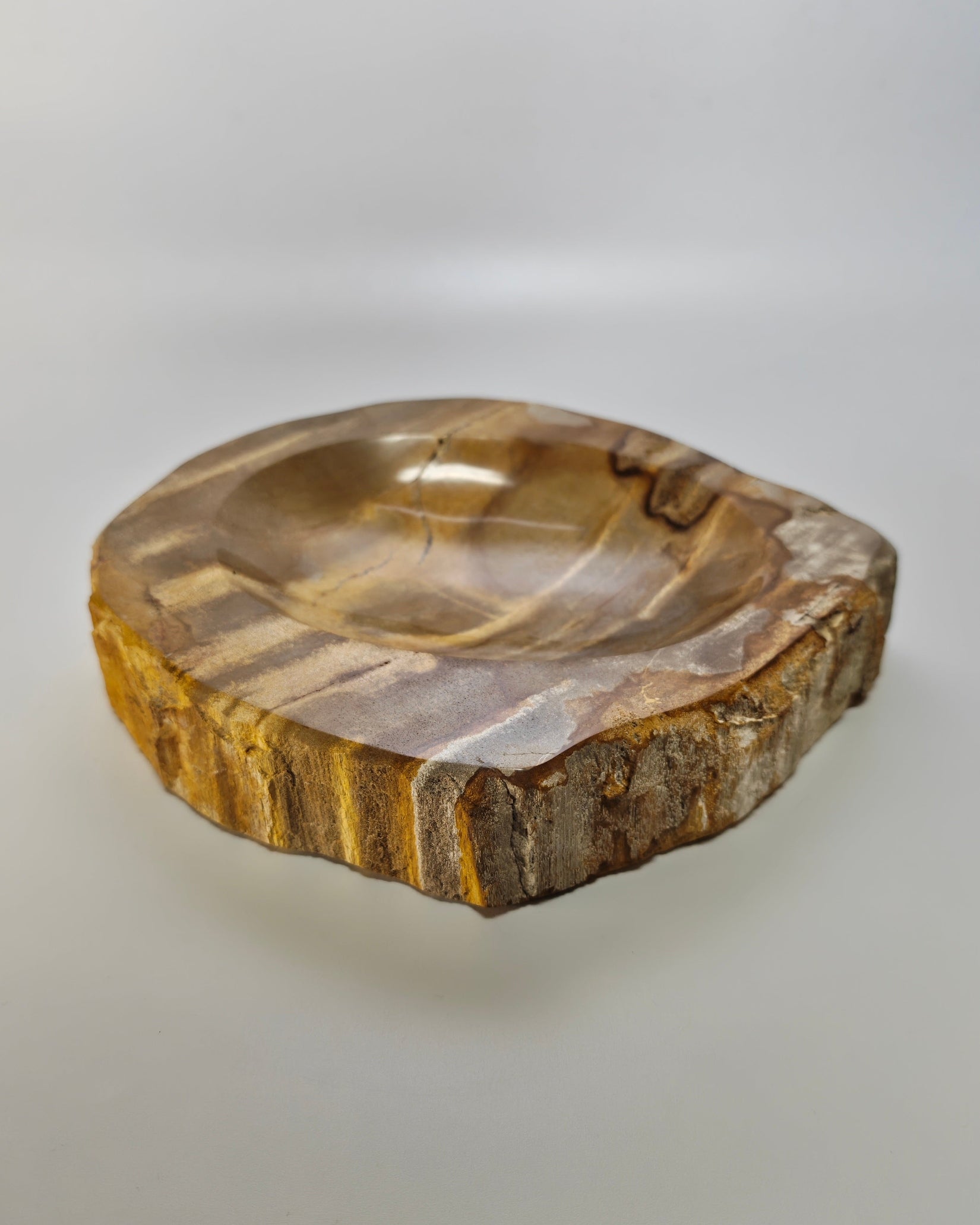 Petrified Wood Tray 014