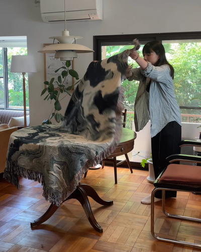 Black Flow Throw Blanket | iMPeRF Black Flow Throw Blanket | iMPeRF